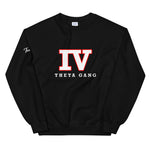 IV Theta Sweatshirt